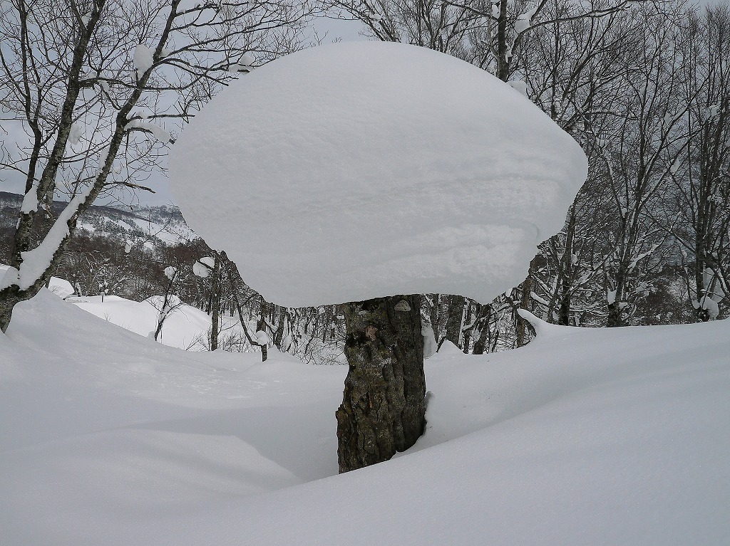 きのこ地蔵