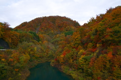 踊る！紅葉の秋