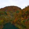 踊る！紅葉の秋