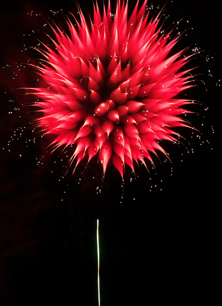 ♪煌めく千日紅