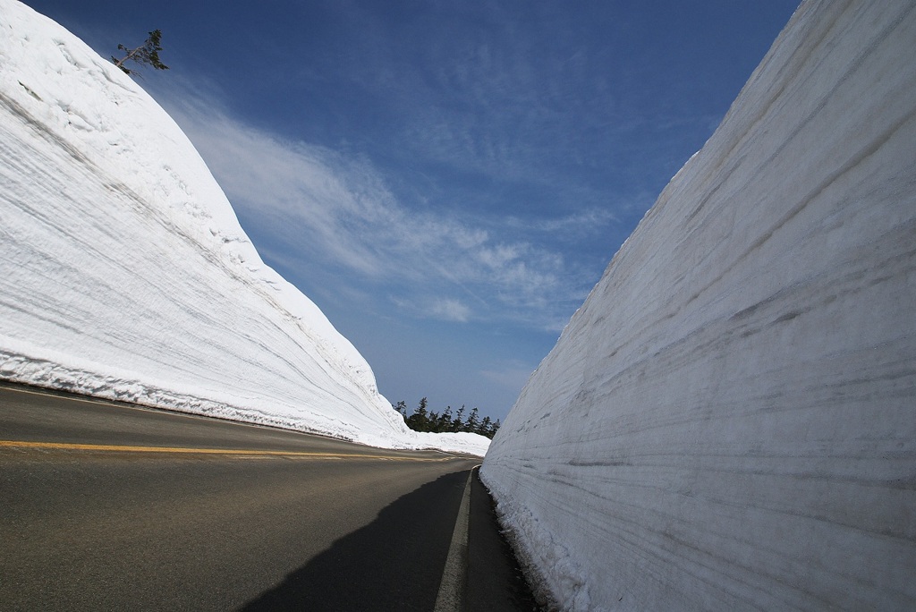ザ・回廊