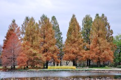 中央公園 