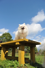 どっちが雲だぁー？