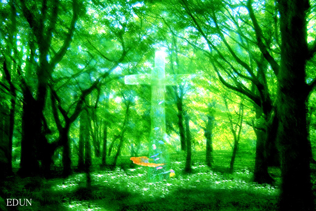 森の中の十字架の海