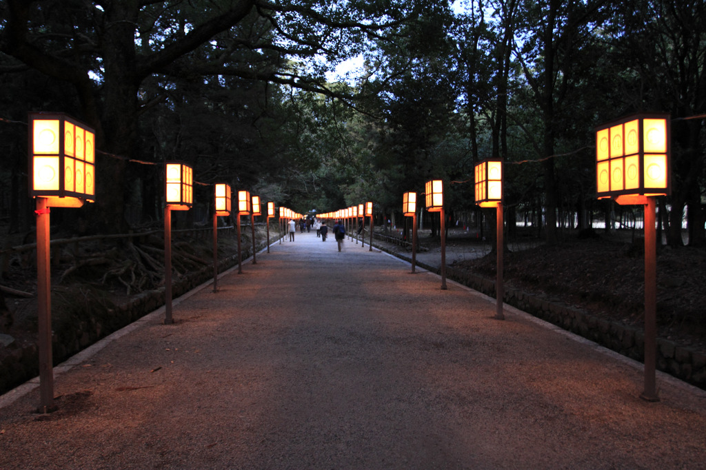 春日大社 参道