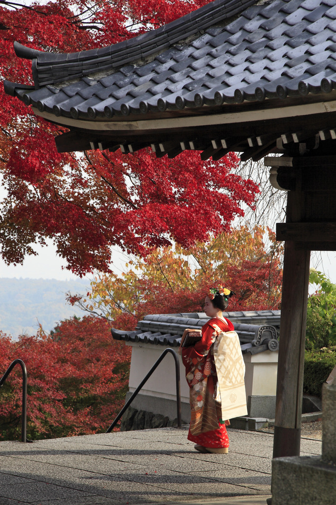 京都紅葉