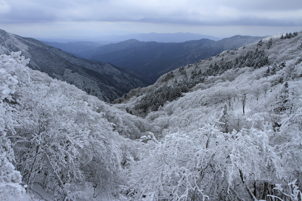 うっすらと雪化粧