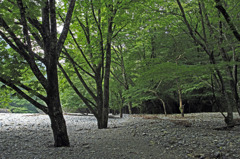 白川八丁