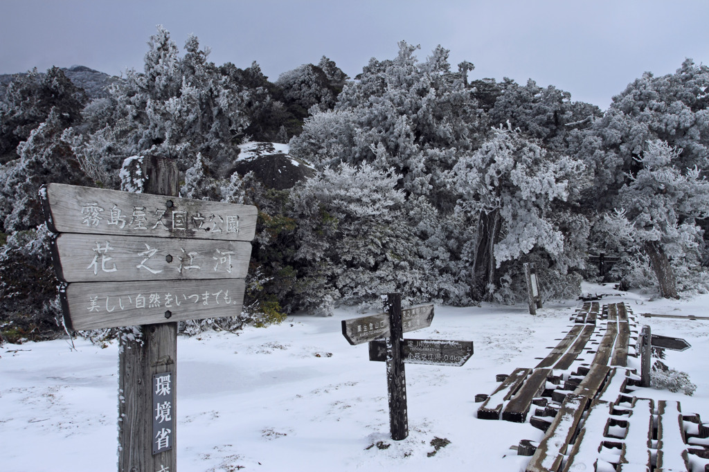 雪の花之江河
