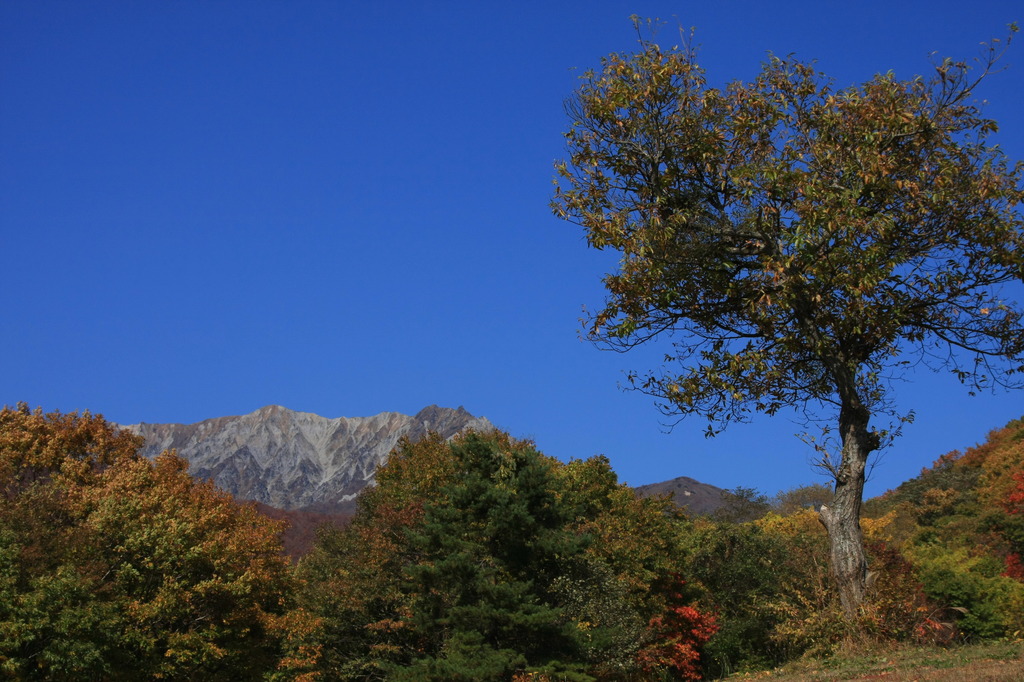 大山