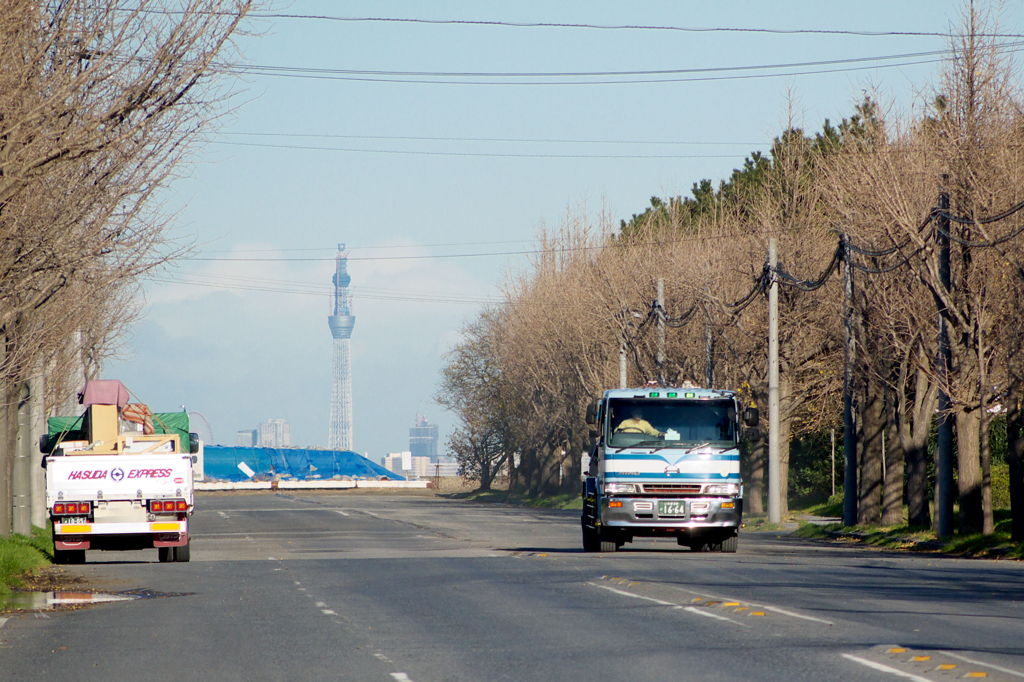 スカイツリー529m