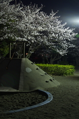 夜桜と