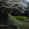 夜桜と