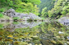 新緑の小川