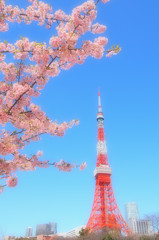 紅梅と紅のタワー