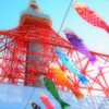 コイのシンフォニー