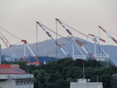 ベランダからの眺め