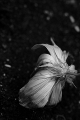 終焉