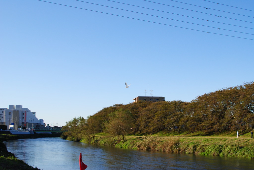 空に