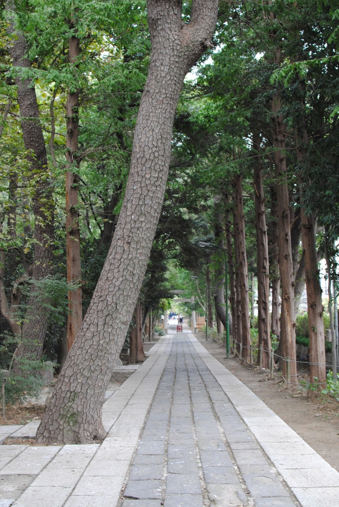 参道