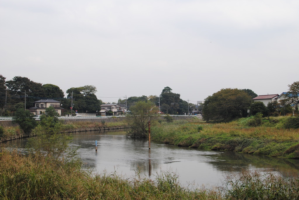 50年見続けた川