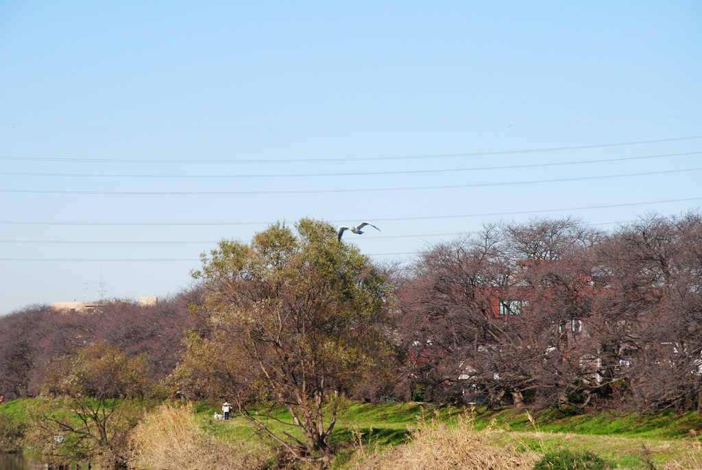 大空へ