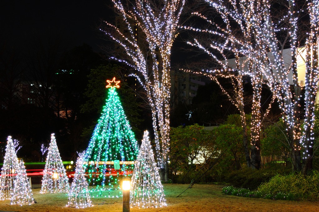 Illuminations_022