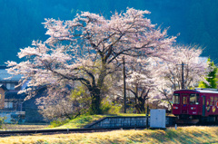朝陽の山田
