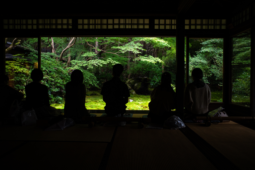 庭園を愛でる。