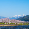 長良川