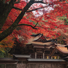 大矢田神社　その1