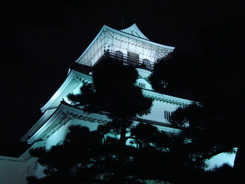 富山城のライトアップ