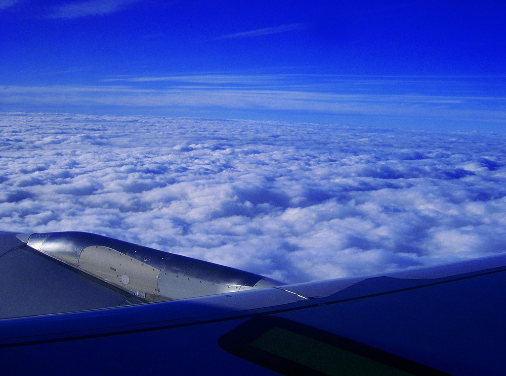 photo296906
