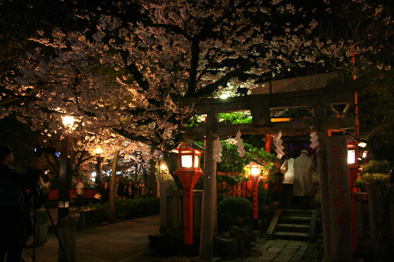 祇園白川花見小路