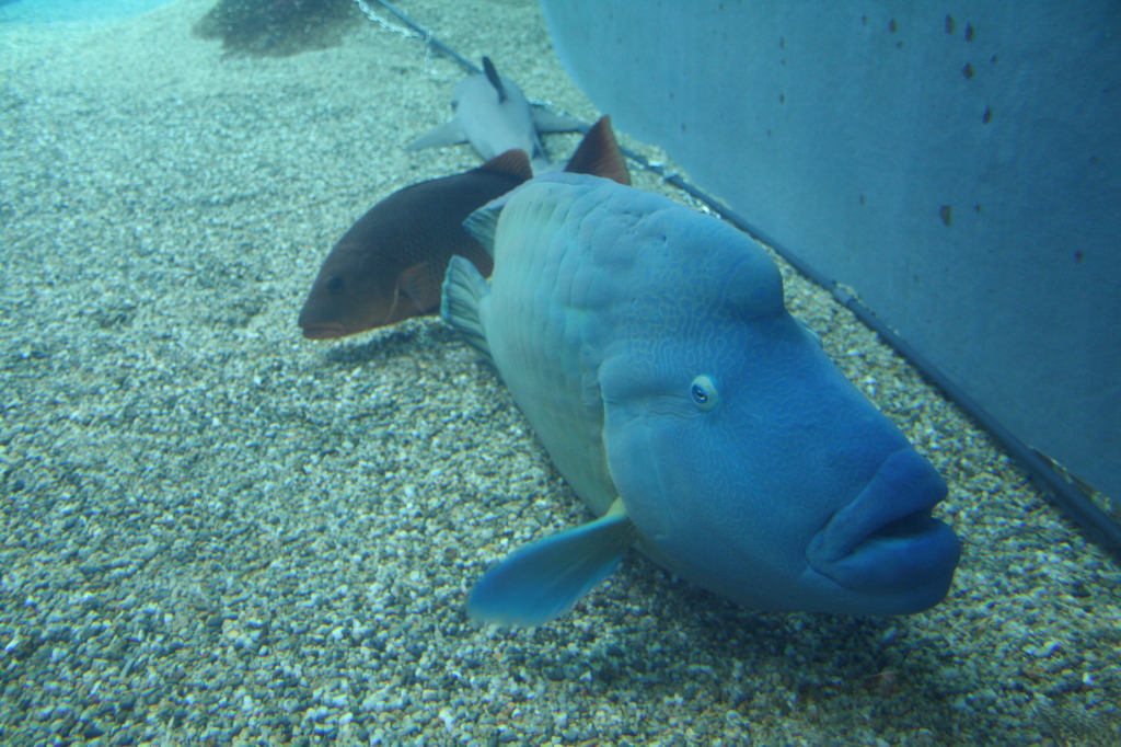こんにちは
