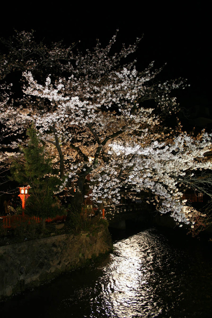 祇園白川花見小路７