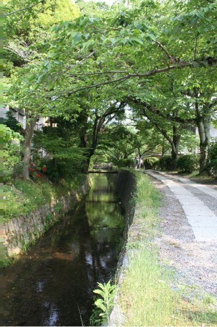 哲学の道
