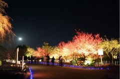 なばなの里