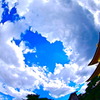 金閣寺