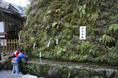 貴舟神社