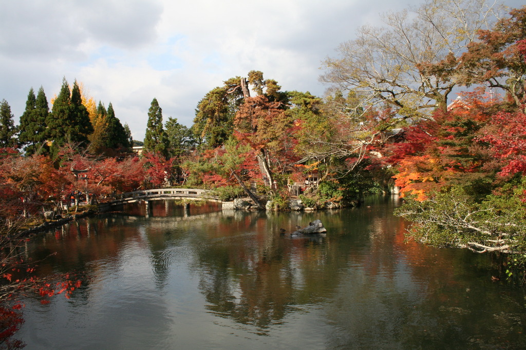 紅葉