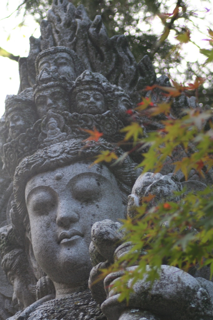 像