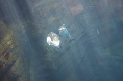 赤ちゃんが生まれました♪