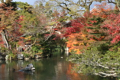 紅葉