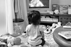 正座が出来ます。