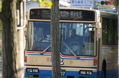 近所の風景　2