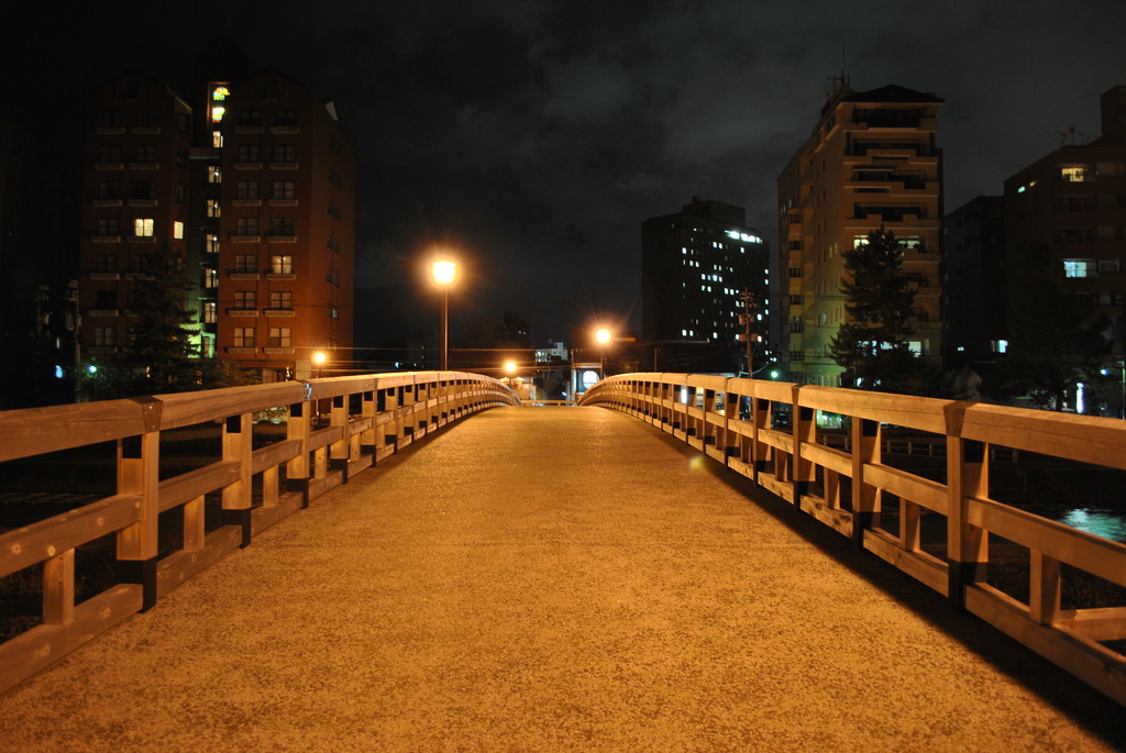 bridge of night
