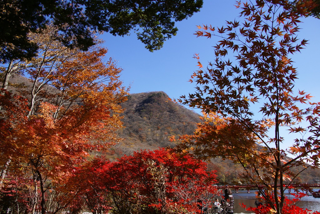 赤城 大沼