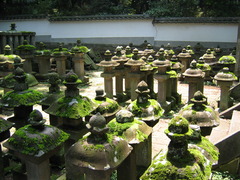 喜多院1