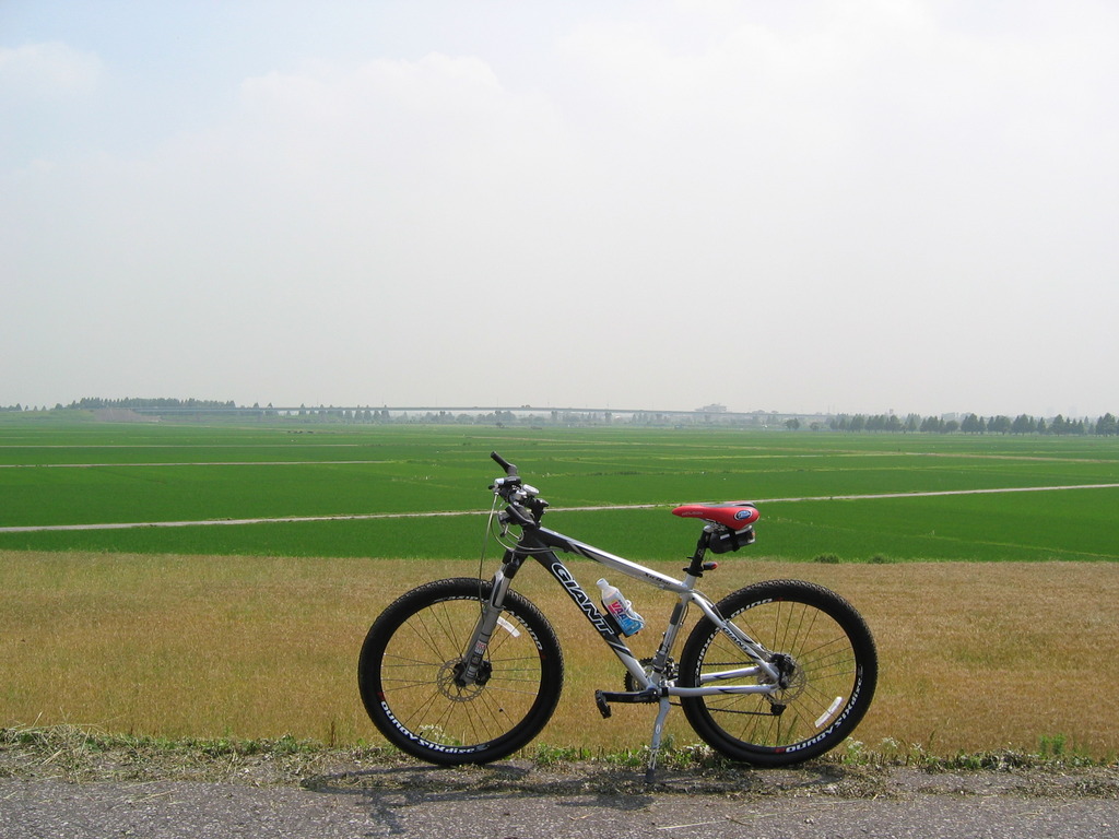 土手の上のMTB